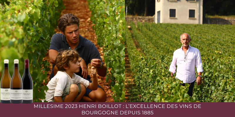 Mill&eacute;sime 2024 Henri Boillot : L&rsquo;excellence des vins de Bourgogne depuis 1885